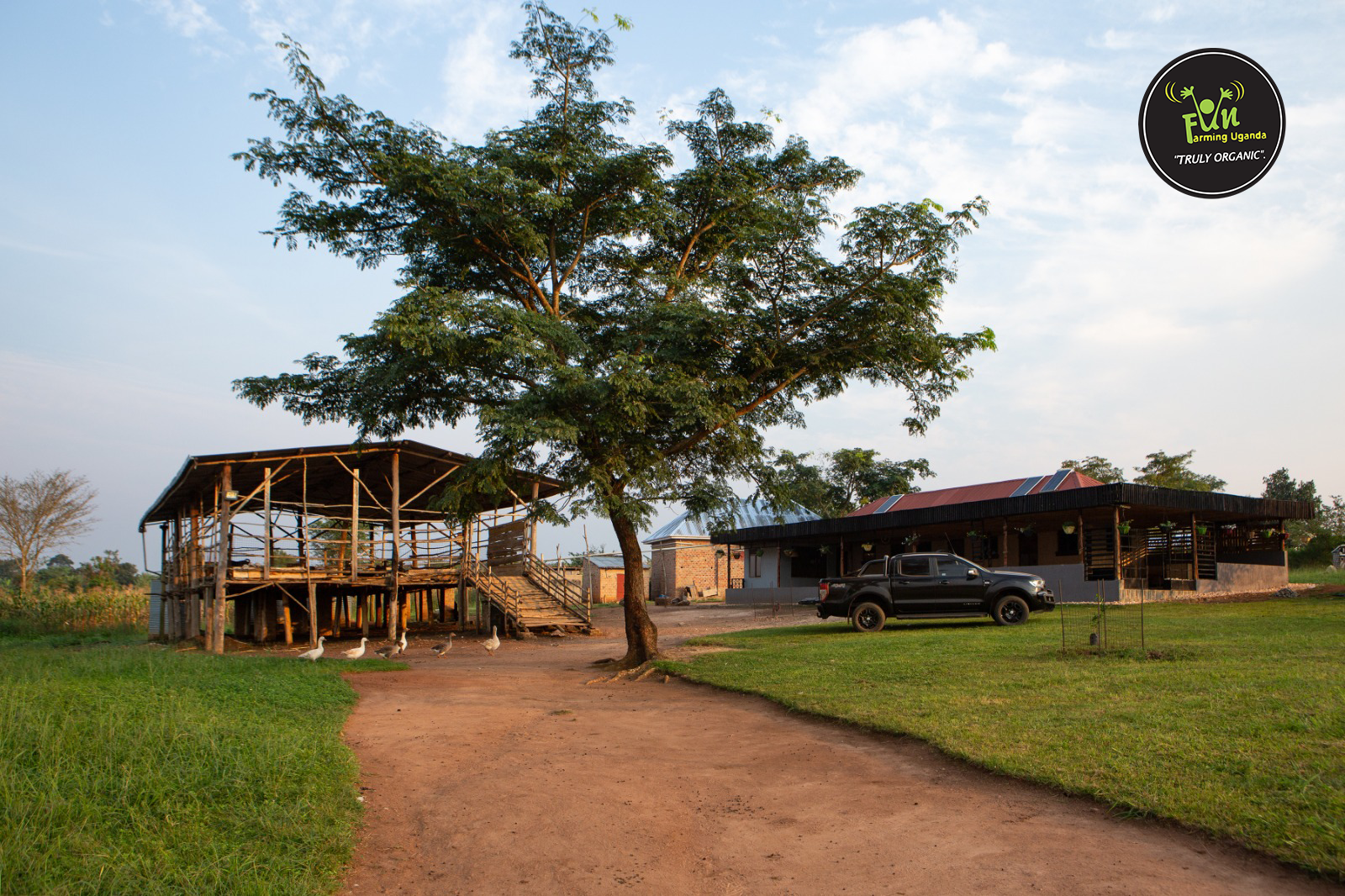 Main Yard Of Fun Farming Uganda